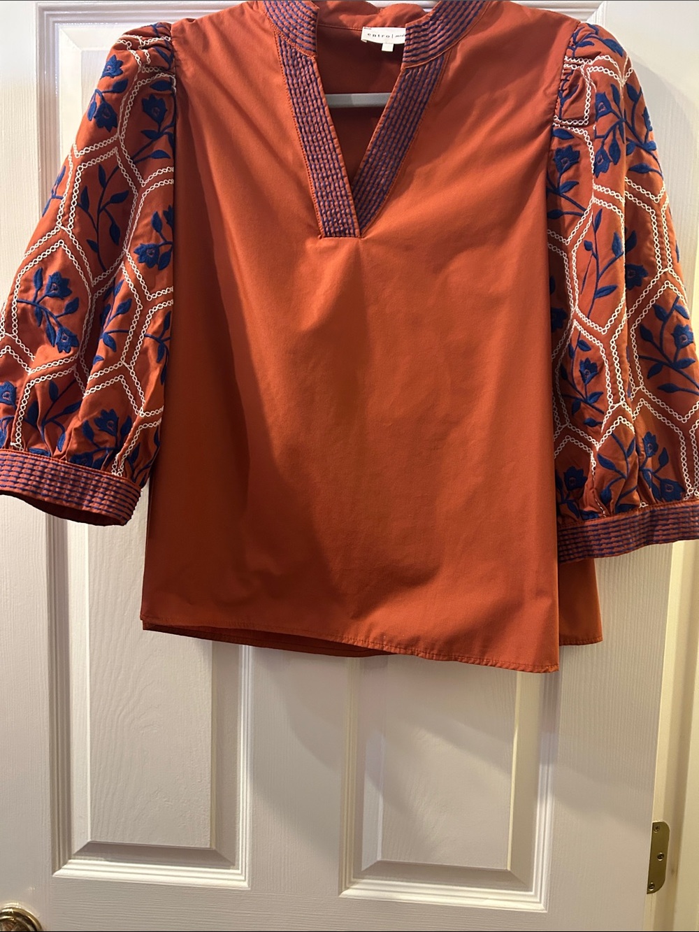 entro Rust Tunic with Blue Embroidered Puff Sleeves
